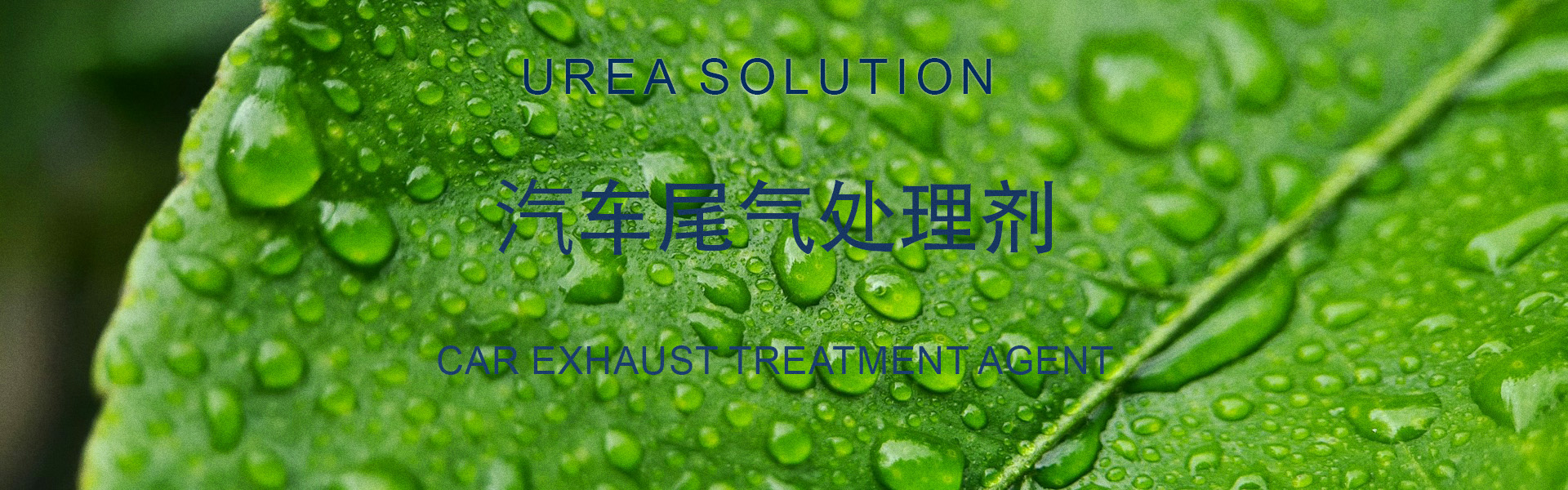 太仓汽车尾气处理剂